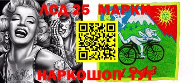 индика Гусь-Хрустальный