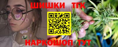 индика Гусь-Хрустальный