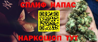 индика Гусь-Хрустальный